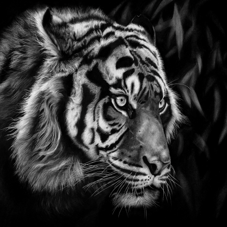 Now-You-See-Me-II_Rachel-Stubbs-Art