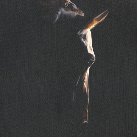 The-Still-Moment_Rachel-Stubbs-Art