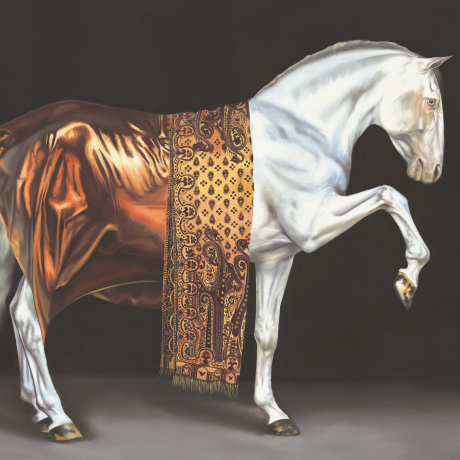 Chrysopoeia-Of-The-Pearl-Steed_Rachel-Stubbs-Art